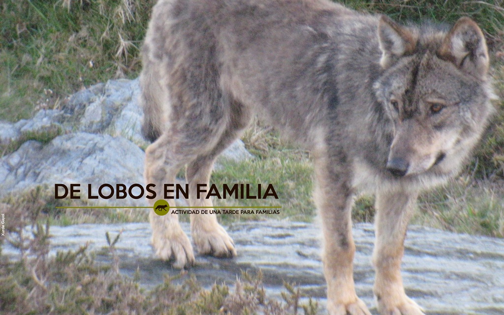 DE LOBOS EN FAMILIA