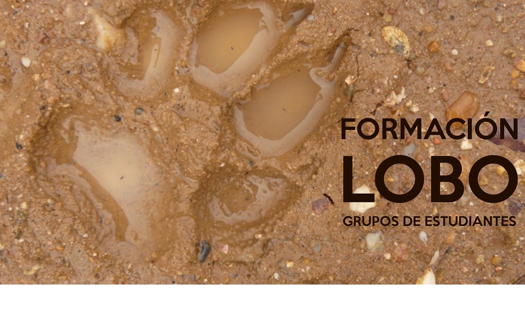 FORMACION LOBO ESTUDIANTES