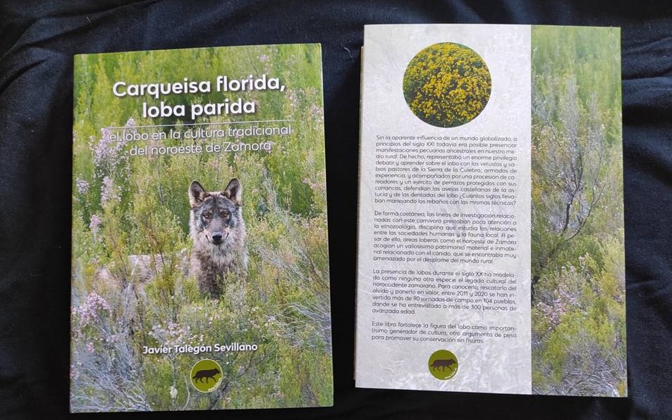 EL LOBO VA A LA ESCUELA